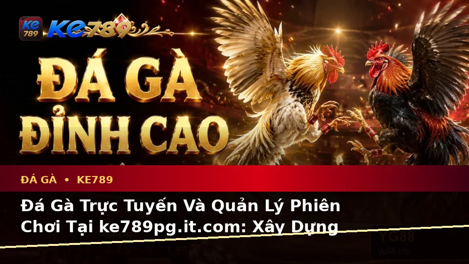 Đá Gà Trực Tuyến Và Quản Lý Phiên Chơi Tại ke789pg.it.com: Xây Dựng Danh Sách Kiểm Tra Bảo Mật Trước Khi Sử Dụng KE789