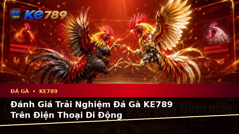 Đánh Giá Trải Nghiệm Đá Gà KE789 Trên Điện Thoại: Quản Lý Phiên Chơi Và Hướng Dẫn Chi Tiết Tại ke789pg.it.com
