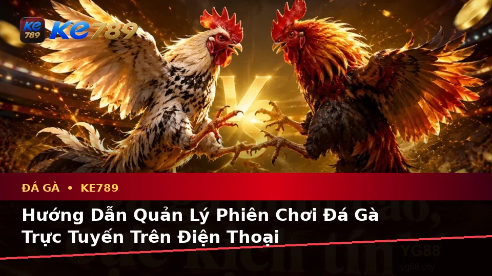 Đánh Giá Trải Nghiệm Đá Gà KE789 Trên Điện Thoại: Quản Lý Phiên Chơi Và Hướng Dẫn Chi Tiết Tại ke789pg.it.com