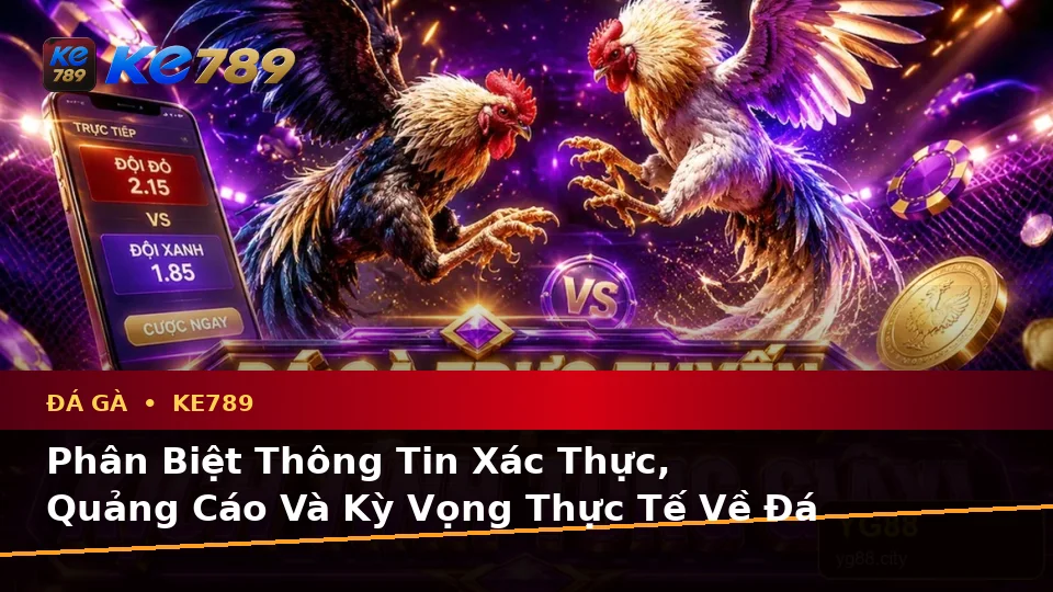 Phân Biệt Thông Tin Xác Thực, Quảng Cáo Và Kỳ Vọng Thực Tế Về Đá Gà KE789: Hướng Dẫn Quản Lý Phiên Chơi Tại ke789pg.it.com