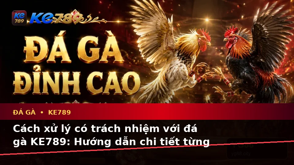Đá Gà Trực Tuyến KE789: Nhận Diện Lỗi Phổ Biến Và Cách Xử Lý Có Trách Nhiệm Khi Quản Lý Phiên Chơi Tại ke789pg.it.com