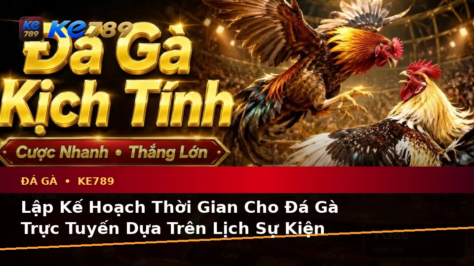 Đá Gà Trực Tuyến Và Quản Lý Phiên Chơi Tại ke789pg.it.com: Lập Kế Hoạch Thời Gian, Ngân Sách Và Lịch Sử Sử Dụng