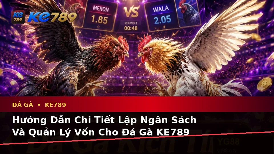 Đá Gà Trực Tuyến Và Quản Lý Phiên Chơi Tại ke789pg.it.com: Lập Kế Hoạch Thời Gian, Ngân Sách Và Lịch Sử Sử Dụng