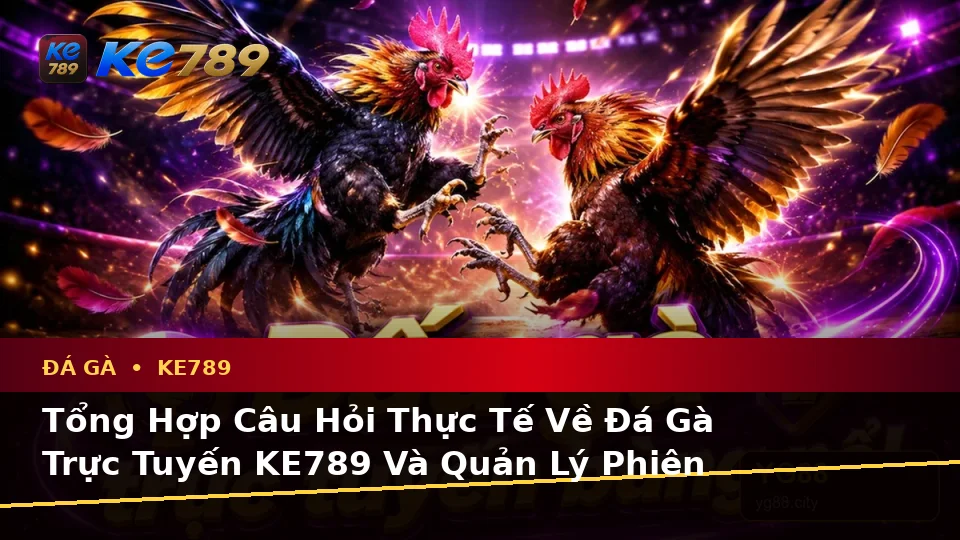 Tổng Hợp Câu Hỏi Thực Tế Về Đá Gà Trực Tuyến KE789 Và Quản Lý Phiên Chơi Tại ke789pg.it.com