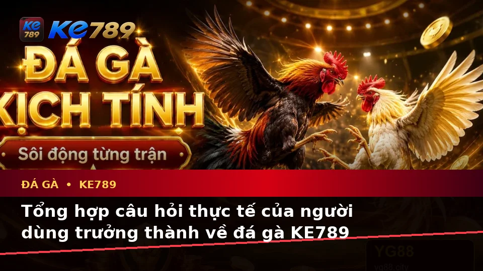 Tổng Hợp Câu Hỏi Thực Tế Về Đá Gà Trực Tuyến KE789 Và Quản Lý Phiên Chơi Tại ke789pg.it.com