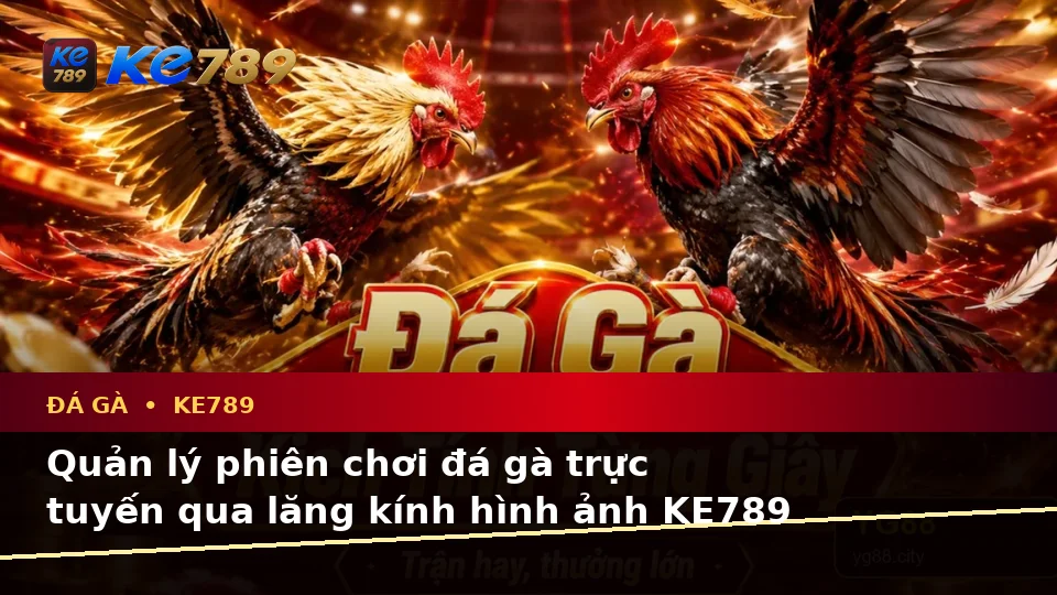 Đá Gà KE789 Tại ke789pg.it.com: Giải Thích Khái Niệm, Thuật Ngữ Cốt Lõi Và Quản Lý Phiên Chơi Trực Tuyến