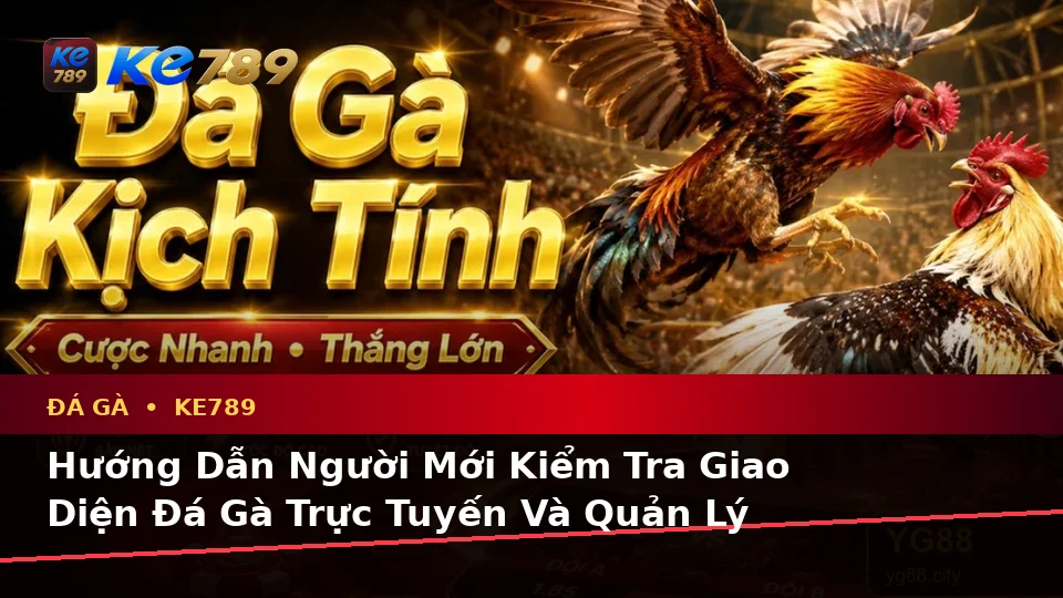 Hướng Dẫn Người Mới Kiểm Tra Giao Diện Đá Gà Trực Tuyến Và Quản Lý Phiên Chơi Tại ke789pg.it.com
