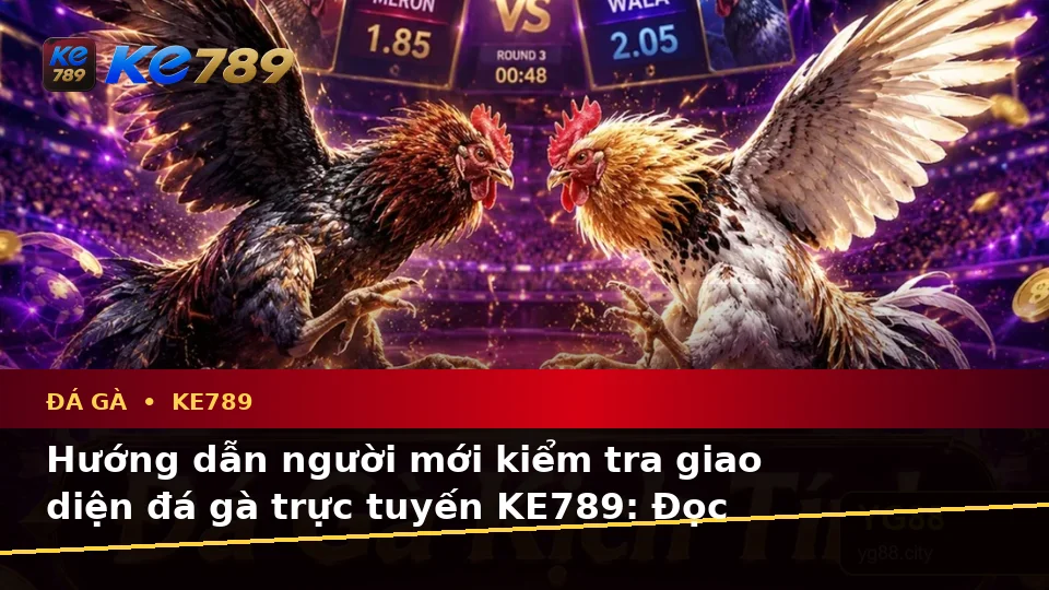 Hướng Dẫn Người Mới Kiểm Tra Giao Diện Đá Gà Trực Tuyến Và Quản Lý Phiên Chơi Tại ke789pg.it.com
