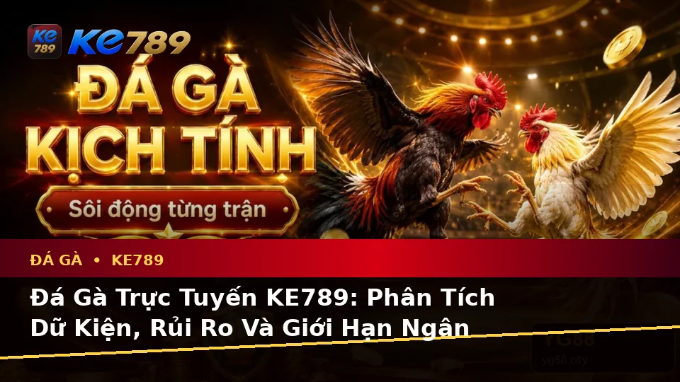 Đá Gà Trực Tuyến KE789: Phân Tích Dữ Kiện, Rủi Ro Và Giới Hạn Ngân Sách Khi Quản Lý Phiên Chơi Tại ke789pg.it.com