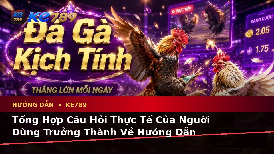 Tổng Hợp Câu Hỏi Thực Tế Của Người Dùng Trưởng Thành Về Hướng Dẫn KE789: Tin Mới, Ưu Đãi Và Điều Kiện Khuyến Mãi Tại ke789pg.it.com